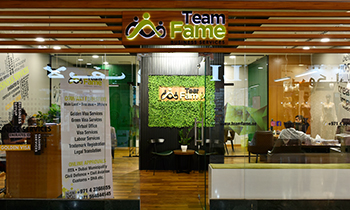 Team Fame Business Services